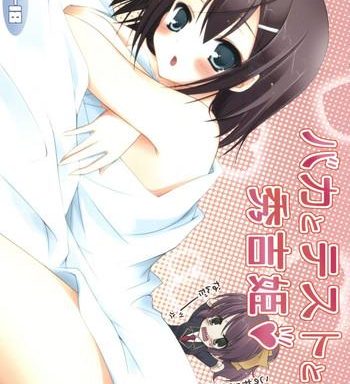 baka to test to hideyoshi hime cover