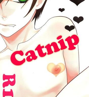 catnip cover