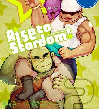 rise to stardom 2 cover