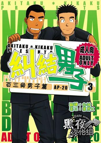 nantoka danshi vol 3 brief danshi vol 3 cover