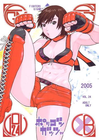 fighters gigamix fgm vol 24 cover