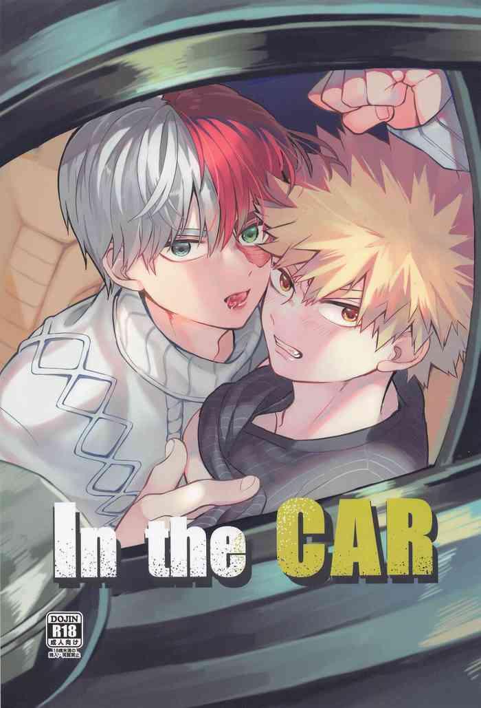 in the car cover