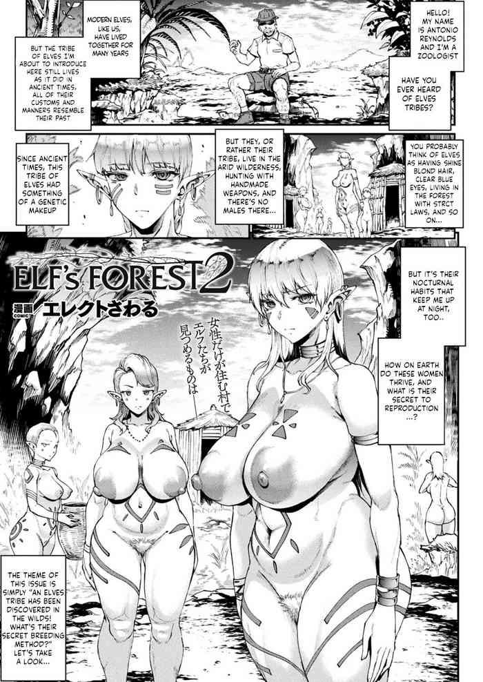 elf s forest 2 cover