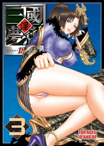 in sangoku musou 3 cover