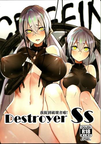 lt gt destroyer ss cover