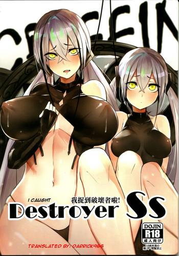 lt gt destroyer ss i caught destroyer cover