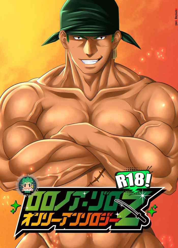 roronoa zoro only anthology z cover