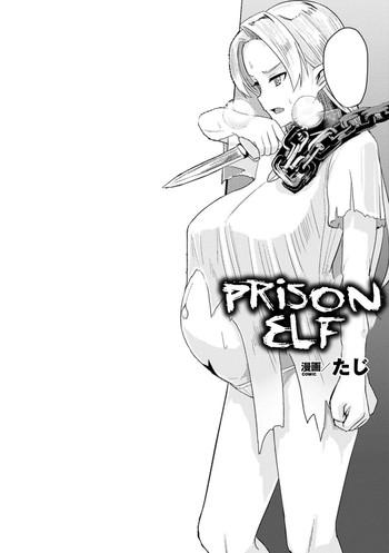 hitoya no elf prison elf cover